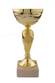 Cupe Sportive CE 21